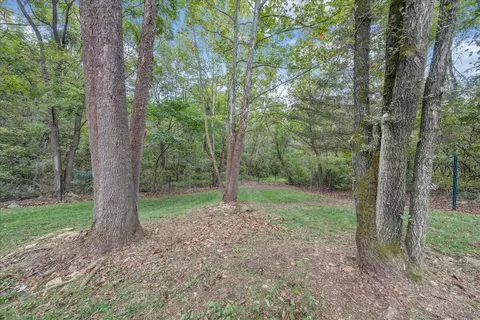 8540 Wormack Rd, Roanoke, VA 24019 photo 30