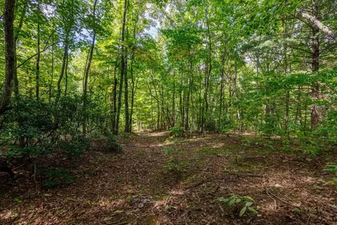 Tract B Gatewood Ln, Ferrum, VA 24088
