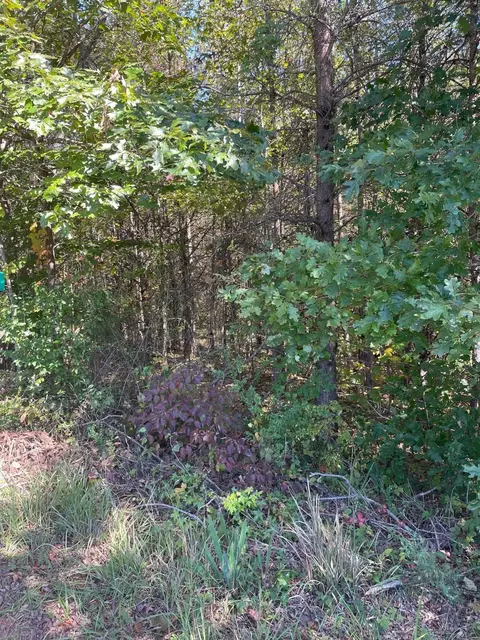 0 Rambling Rose Rd, Ferrum, VA 24088