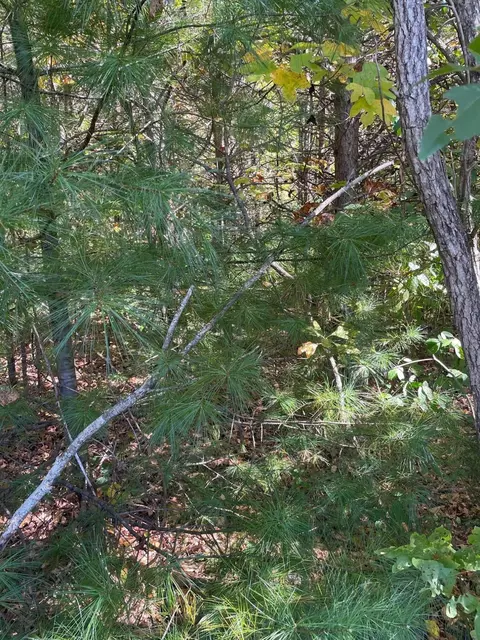 0 Rambling Rose Rd, Ferrum, VA 24088 photo 4
