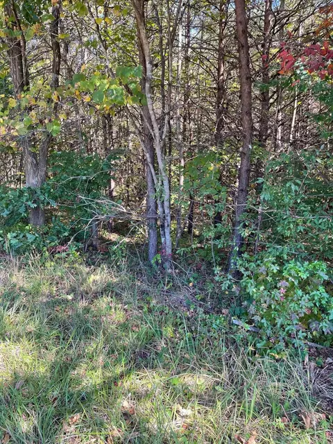 0 Rambling Rose Rd, Ferrum, VA 24088 photo 3