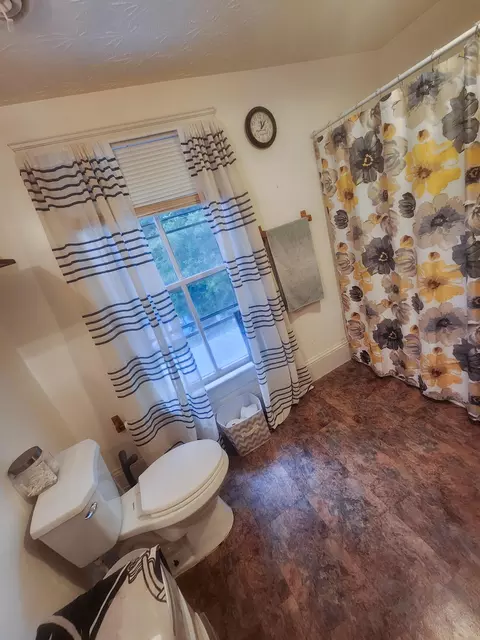 809 Brussels Ave, Clifton Forge, VA 24422 photo 12