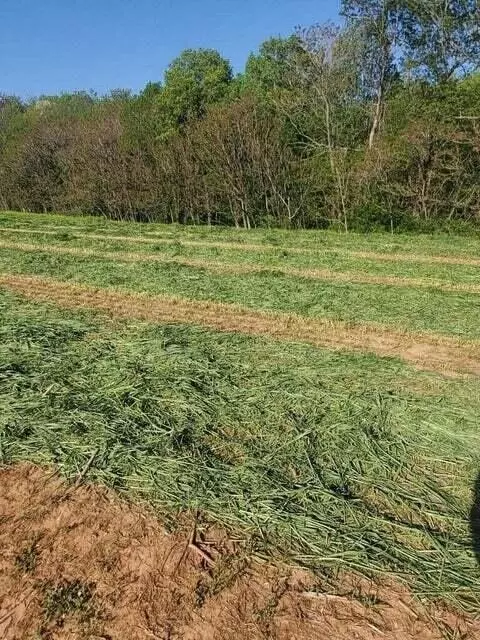 Lot 1 Calico Rock Rd, Rocky Mount, VA 24151