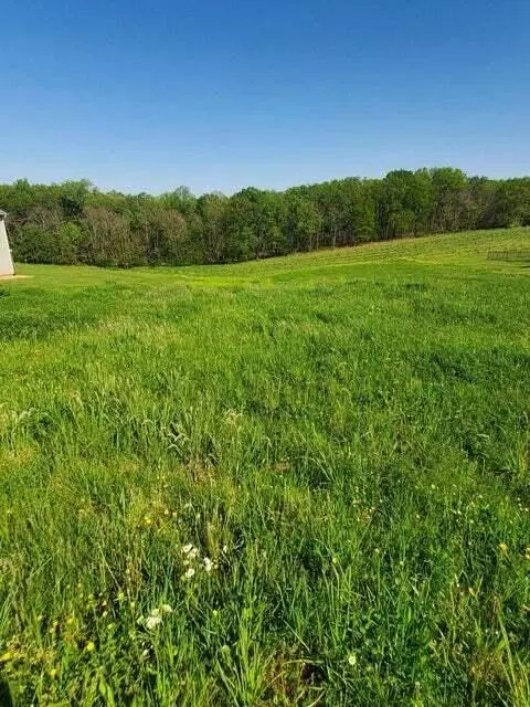 Lot 11 Calico Rock Rd, Rocky Mount, VA 24151