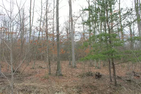 0 N North Peak Dr, Covington, VA 24426 photo 10