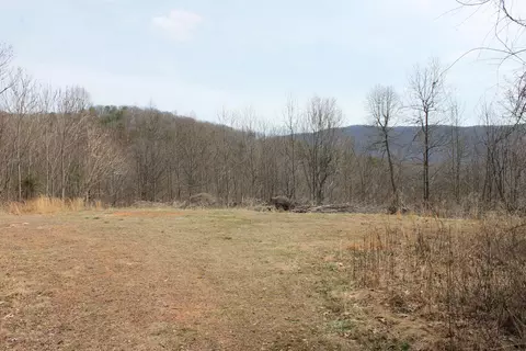 0 N North Peak Dr, Covington, VA 24426