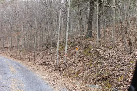 0 N North Peak Dr, Covington, VA 24426 photo 15