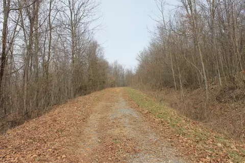 0 N North Peak Dr, Covington, VA 24426 photo 6