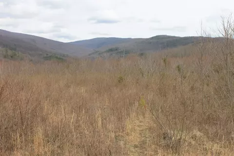 0 N North Peak Dr, Covington, VA 24426 photo 8