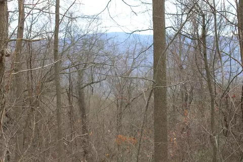 0 N North Peak Dr, Covington, VA 24426 photo 14