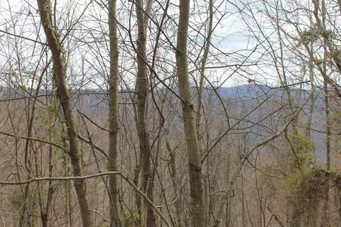 0 N North Peak Dr, Covington, VA 24426 photo 13