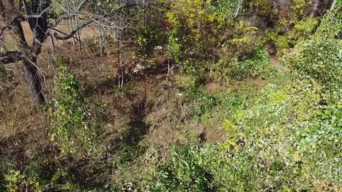 8072 Franklin St, Ferrum, VA 24088 photo 2