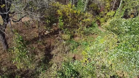 8072 Franklin St, Ferrum, VA 24088 photo 3