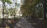 8072 Franklin St, Ferrum, VA 24088 photo 14