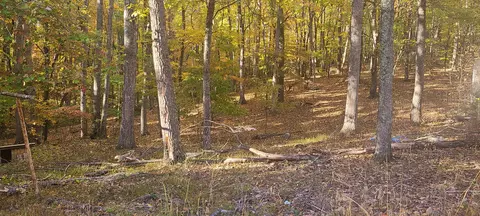 2205 Turners Creek Rd, Ferrum, VA 24088