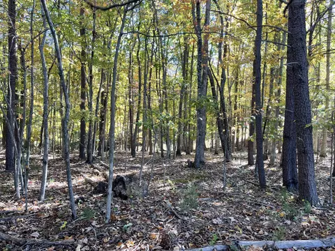 lot6 Leesville Rd, Lynch Station, VA 24571