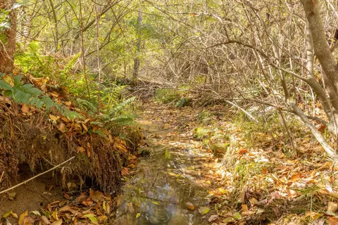 0 Laurel Creek Rd NE, Pilot, VA 24138 photo 6