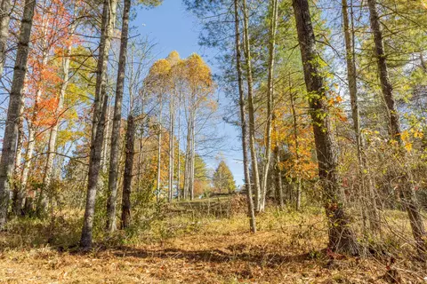0 Laurel Creek Rd NE, Pilot, VA 24138 photo 14