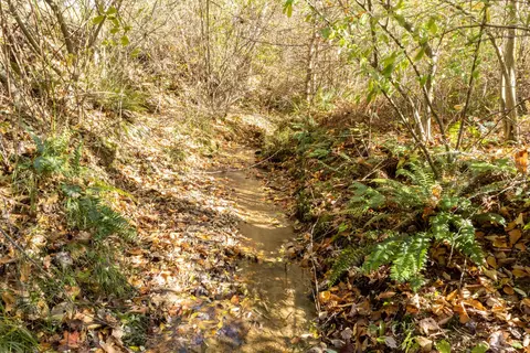 0 Laurel Creek Rd NE, Pilot, VA 24138 photo 20