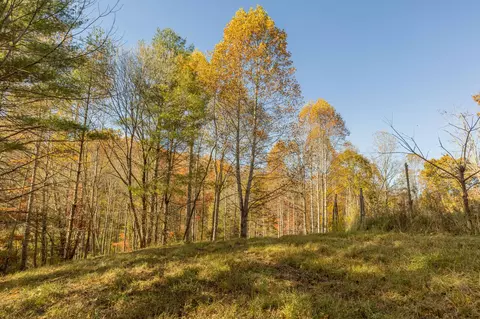 0 Laurel Creek Rd NE, Pilot, VA 24138 photo 9