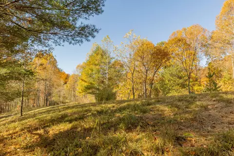 0 Laurel Creek Rd NE, Pilot, VA 24138 photo 8