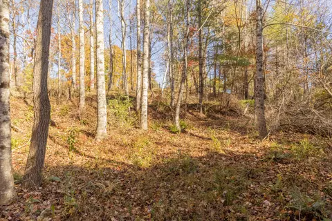 0 Laurel Creek Rd NE, Pilot, VA 24138 photo 15