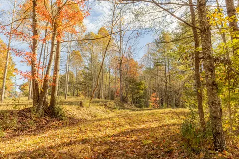 0 Laurel Creek Rd NE, Pilot, VA 24138 photo 12