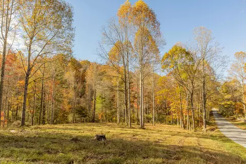 0 Laurel Creek Rd NE, Pilot, VA 24138 photo 10