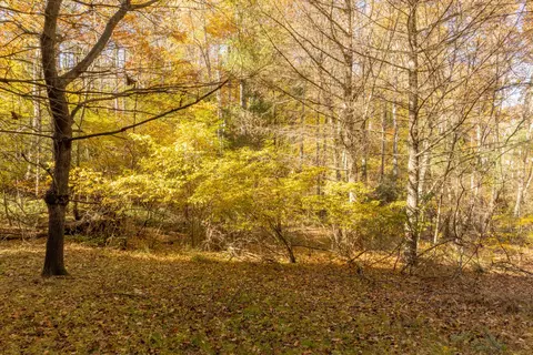0 Laurel Creek Rd NE, Pilot, VA 24138 photo 16