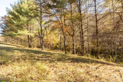 0 Laurel Creek Rd NE, Pilot, VA 24138 photo 27