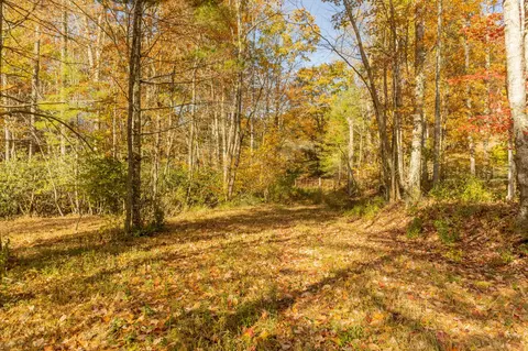 0 Laurel Creek Rd NE, Pilot, VA 24138 photo 11