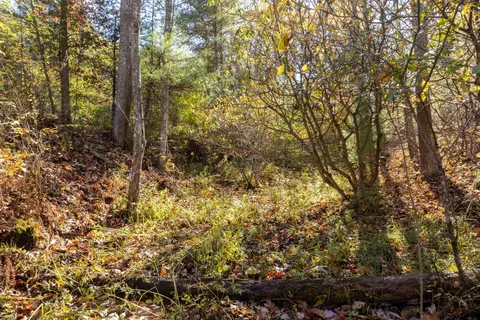 0 Laurel Creek Rd NE, Pilot, VA 24138 photo 19