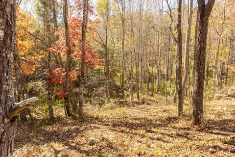 0 Laurel Creek Rd NE, Pilot, VA 24138 photo 26