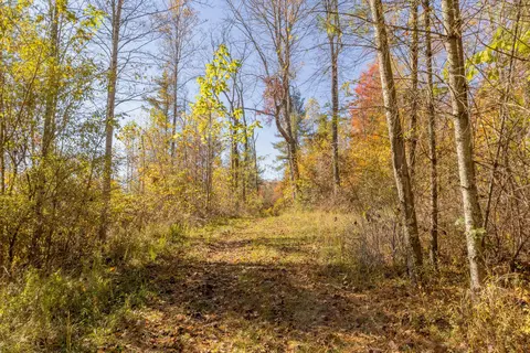 0 Laurel Creek Rd NE, Pilot, VA 24138 photo 17