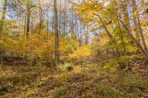 0 Laurel Creek Rd NE, Pilot, VA 24138 photo 18