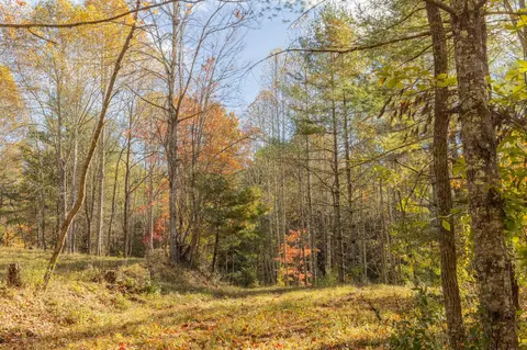 0 Laurel Creek Rd NE, Pilot, VA 24138 photo 13