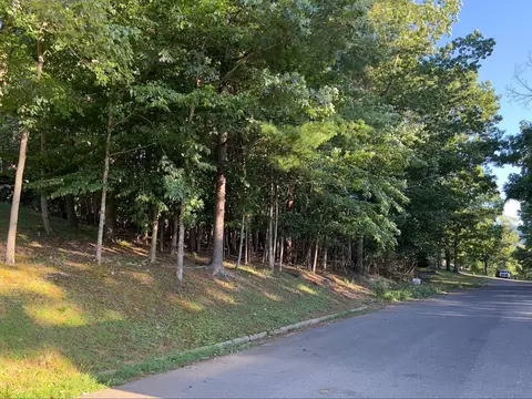 0 Laurel Ave, Buena Vista, VA 24416