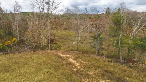 0 Sam Reed Rd NW, Floyd, VA 24091 photo 13