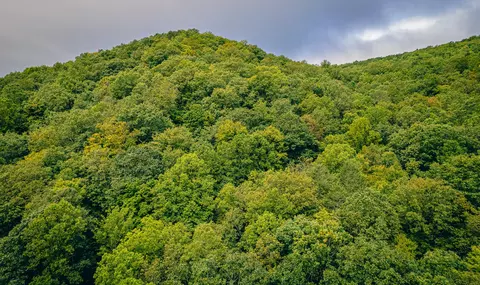 0 Paint Bank Rd, Paint Bank, VA 24131