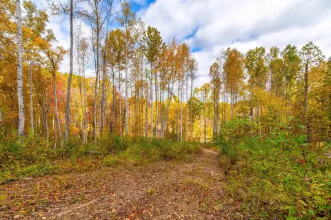 2307 Rush Fork Rd SW, Floyd, VA 24091 photo 16