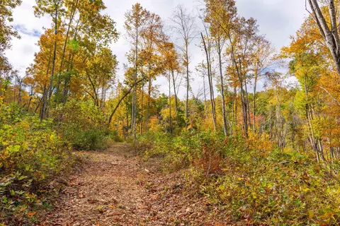 2307 Rush Fork Rd SW, Floyd, VA 24091 photo 15
