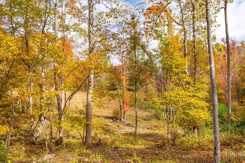 2307 Rush Fork Rd SW, Floyd, VA 24091 photo 11