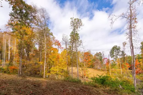 2307 Rush Fork Rd SW, Floyd, VA 24091 photo 10