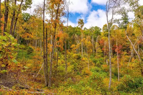2307 Rush Fork Rd SW, Floyd, VA 24091 photo 17