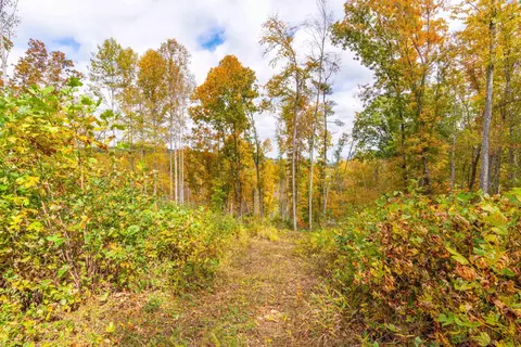 2307 Rush Fork Rd SW, Floyd, VA 24091 photo 19