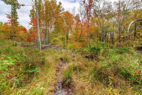 2307 Rush Fork Rd SW, Floyd, VA 24091 photo 8