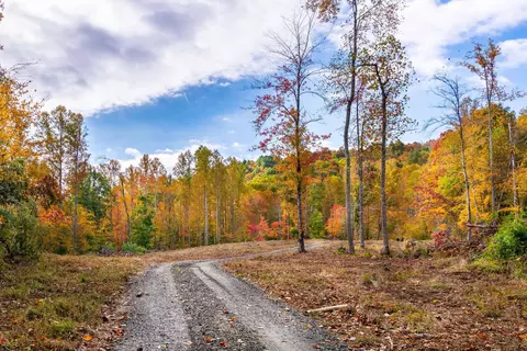 2307 Rush Fork Rd SW, Floyd, VA 24091 photo 5
