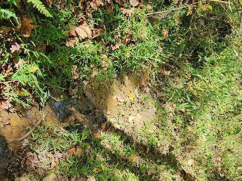 0 Mill Iron Rd, Goodview, VA 24095 photo 4