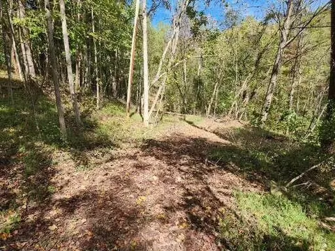 0 Mill Iron Rd, Goodview, VA 24095 photo 11