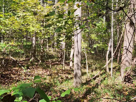 0 Mill Iron Rd, Goodview, VA 24095 photo 8